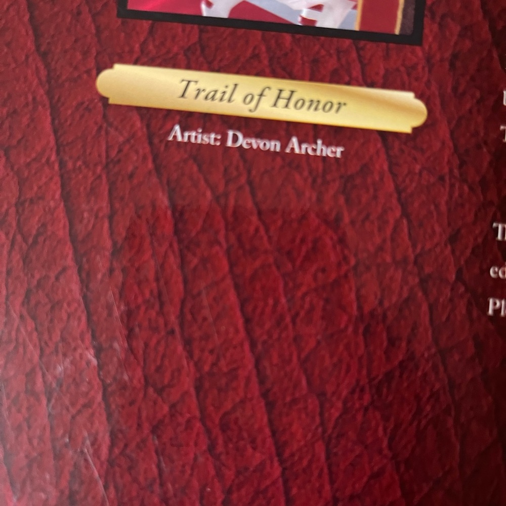 Trail of honor by Devor Archer military horse - Picture 3 of 3